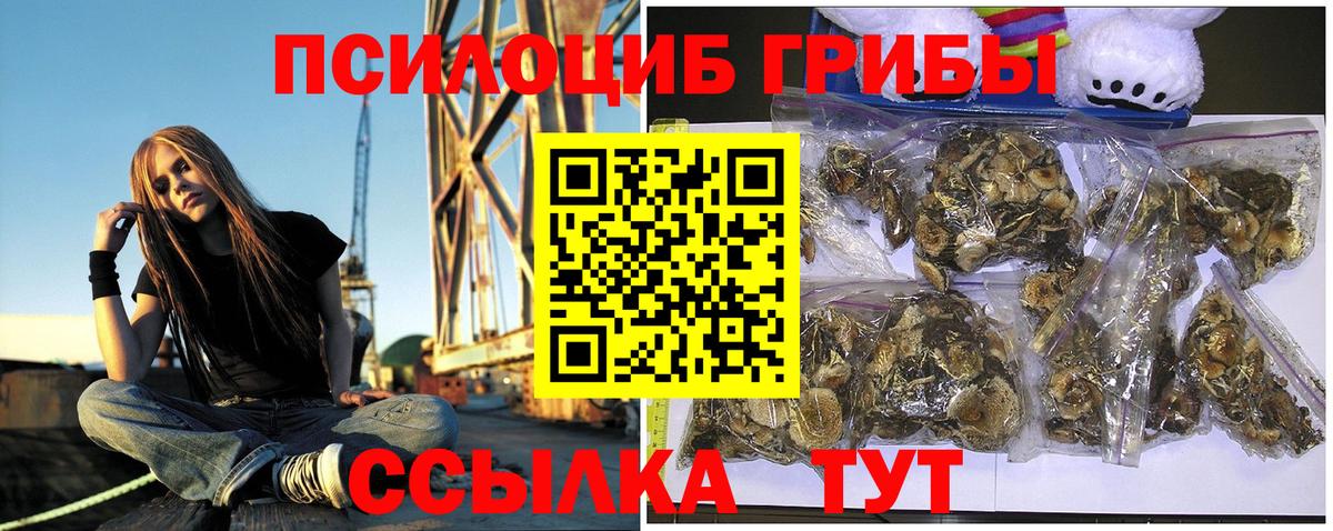 Сургут  Галлюциногенные грибы мухоморы  Вход с VPN 