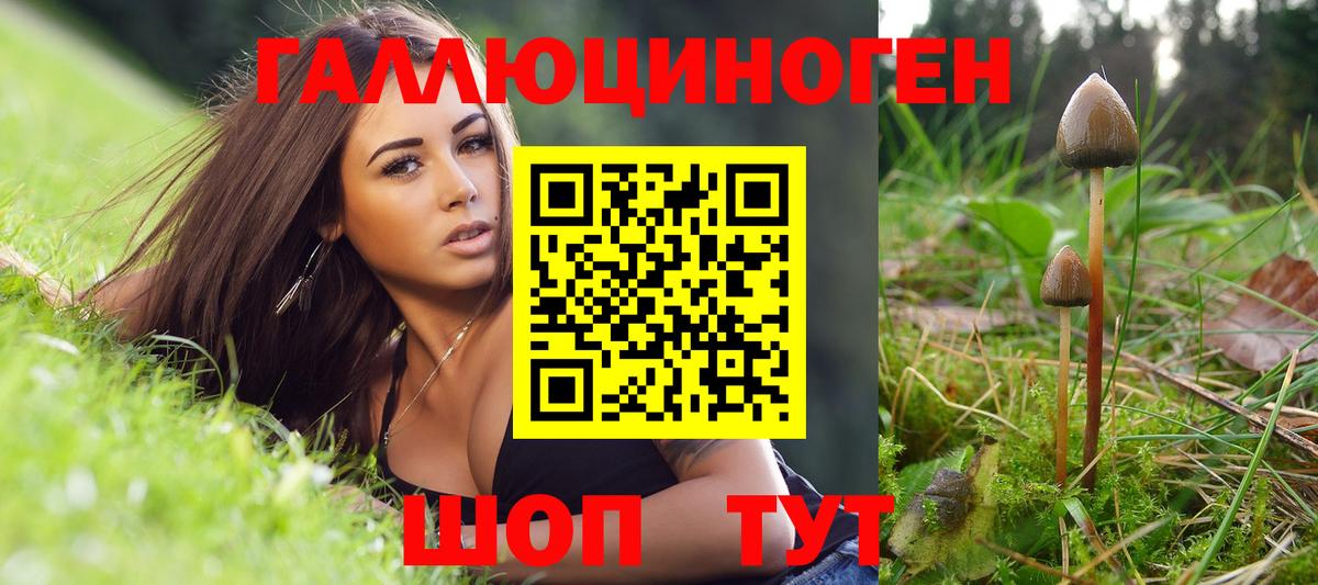 Галлюциногенные грибы Cubensis Сургут